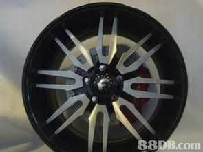 2019年最新114个Barbie Eye批发价格及商户联络资讯——HK 88db.com汽车零配件平台详解